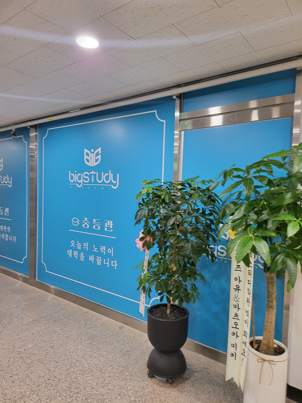 /user/t/topint/editor/2509/1450e899760af53f15d19a4f87fccab5_1758851424_1816.jpg 이미지크게보기